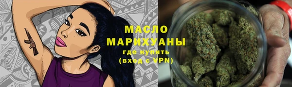 мдпв Дмитриев