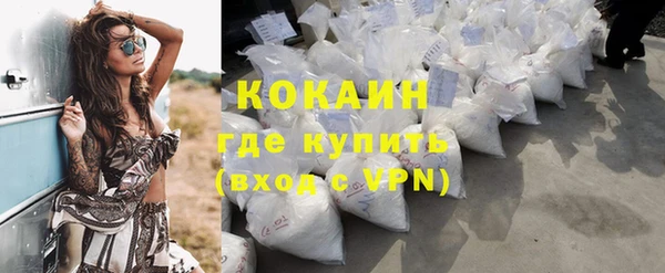 мдпв Дмитриев