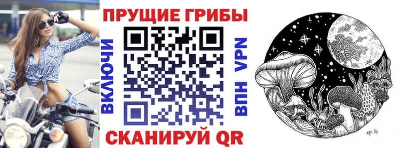 Псилоцибиновые грибы Cubensis  mega ONION  Махачкала 